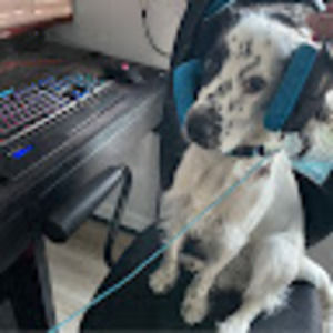 Meet your Posher, Grace